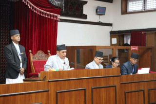 राष्ट्रिय सभामा ८ अध्यादेश पेस